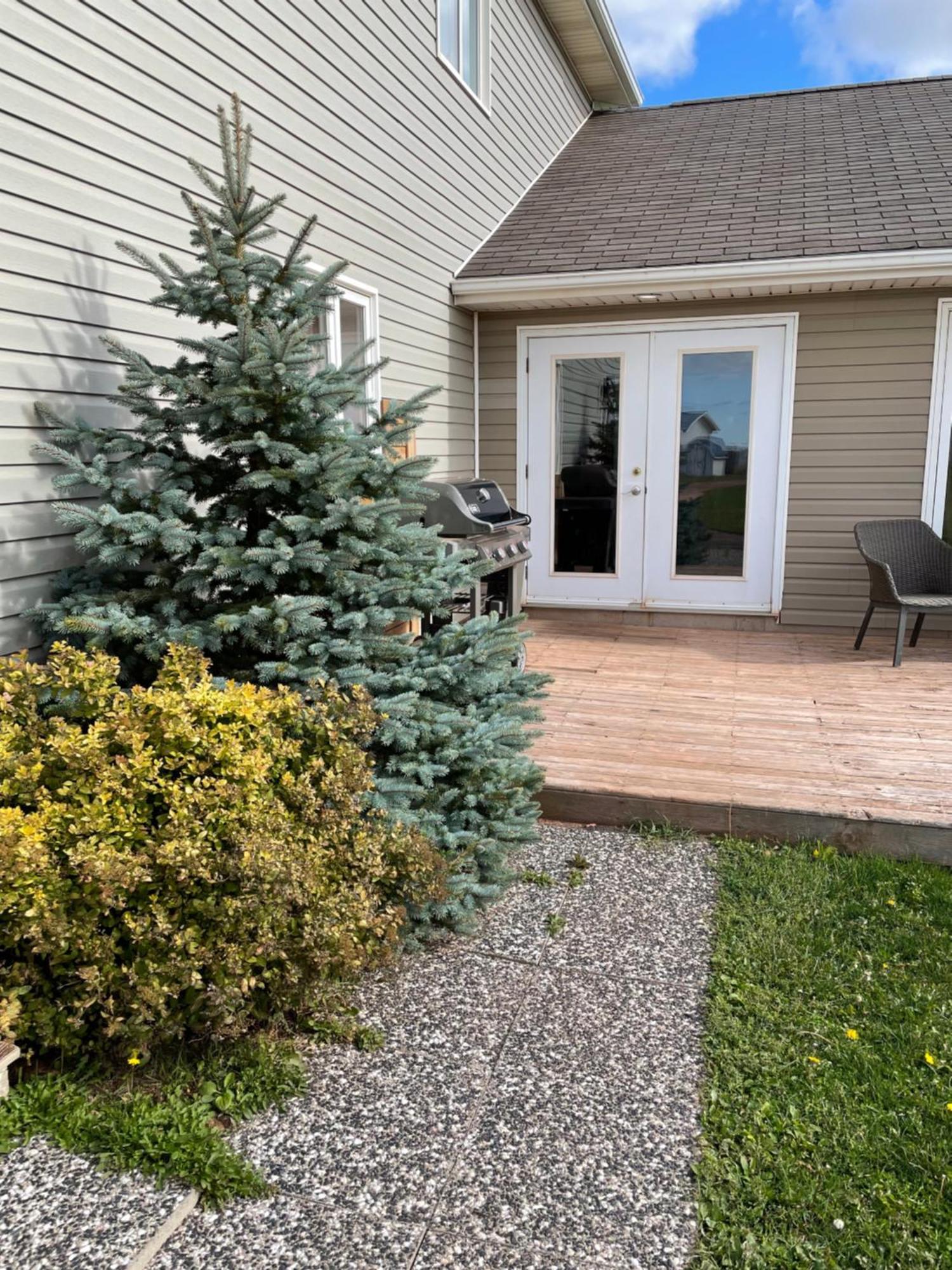Pei Cottage Rental Borden-Carleton Екстериор снимка